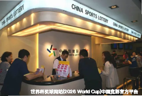 核心团队与专业资质
